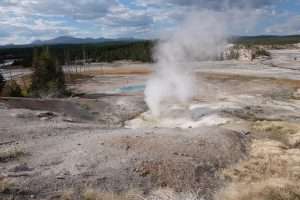 Yellowstone geyser