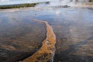 Yellowstone grand prismatic