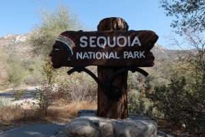 Sequoia national park entrance