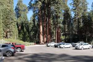 Sequoia national park il parcheggio