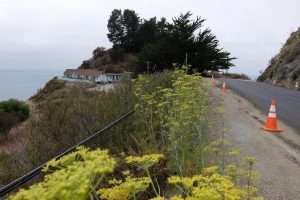 Highway 1 California costa
