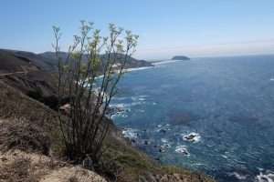 California linea costiera