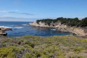Andrew Molera state park California