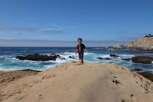 Andrew Molera state parco California