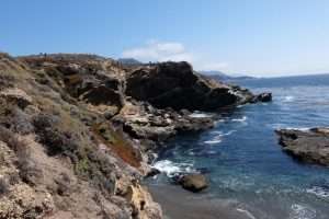 Andrew Molera state parco California spiaggia