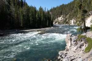 Yellowstone il fiume omonino