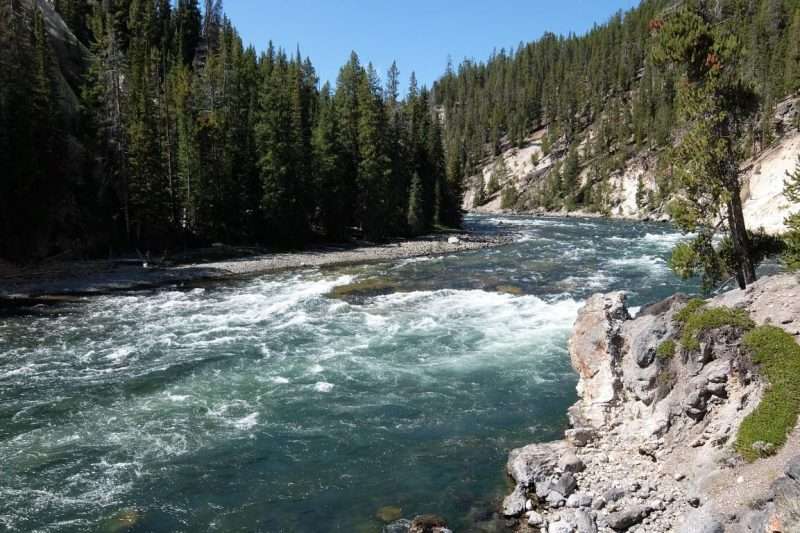 Yellowstone il fiume omonino