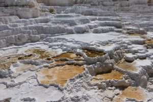 Yellowstone sorgenti calde bianche