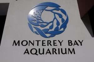 Monterey acquario California