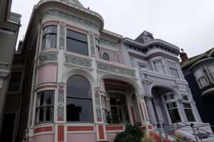 San Francisco Painted Ladies rosa e viola