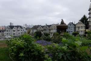 Painted Ladies San Francisco