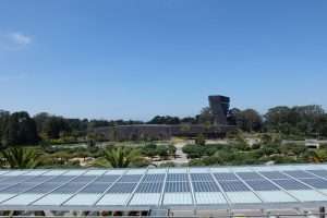 Golden Gate Park tetto museo storia naturale