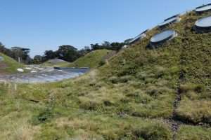 Golden Gate park Tetto Museo