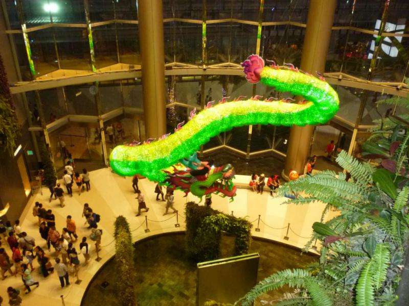 drago giallo e verde al siam paragon