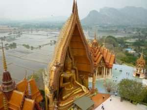 kanchanaburi risaie