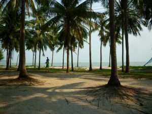 khao sam roi yot palme in spiaggia