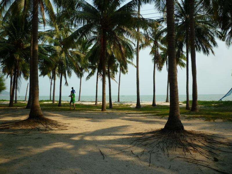 khao sam roi yot palme in spiaggia