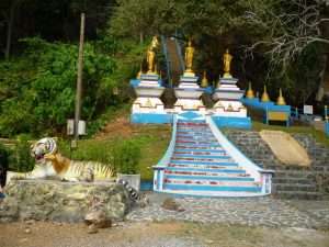 scalinata al tempio della tigre di krabi
