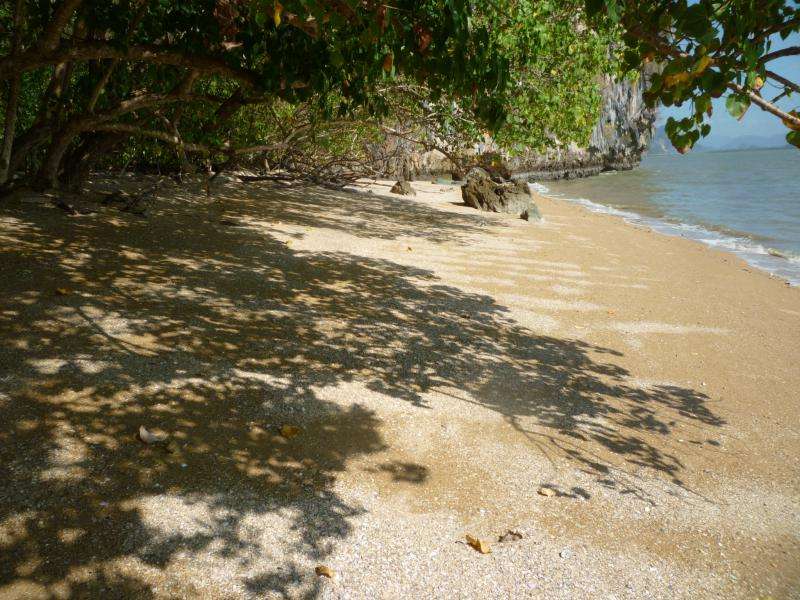spiaggia baia phan nga