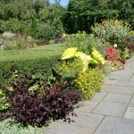 Conservatory garden viale