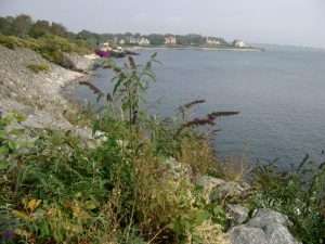 Cliff Walk a Newport