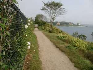 Cliff Walk Newport