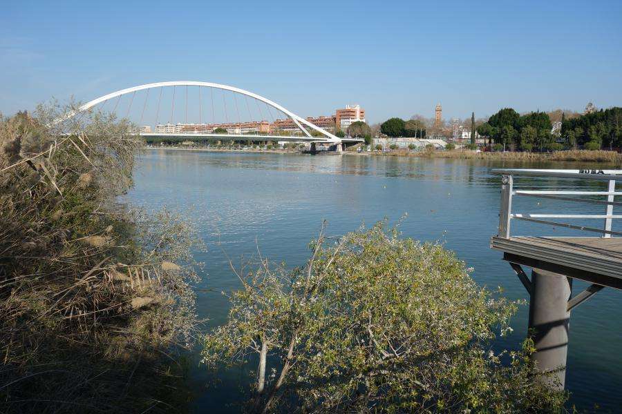 Puente Barqueta sul Guadalquivir
