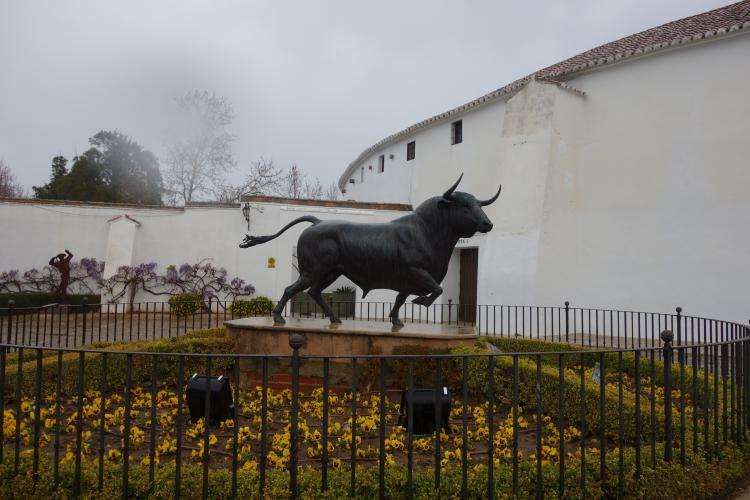 Ronda arena