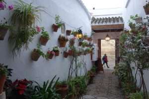 Entrata Hotel Los Patios a Cordova