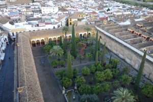 Patio de los naranjos a Cordova