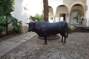 Museo taurino a Cordova