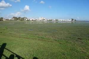 El Rocio parco della Donana