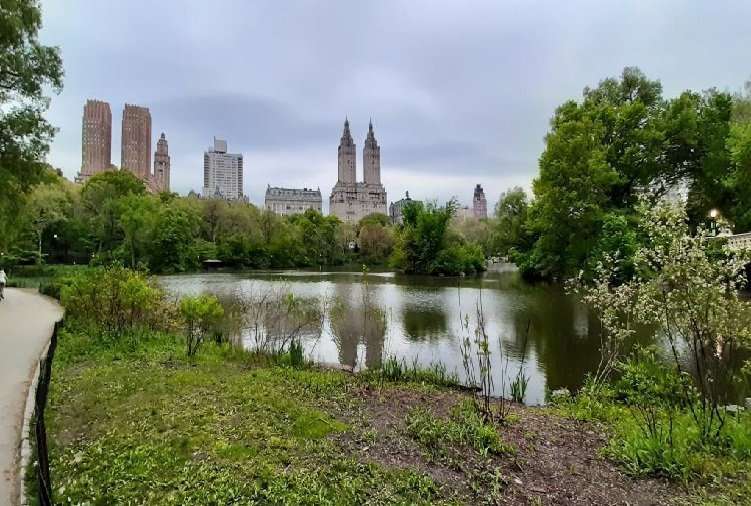 Central Park the Lake