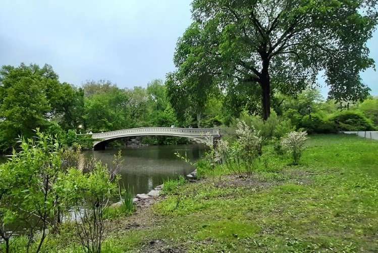Central Park Bow Bridge New York