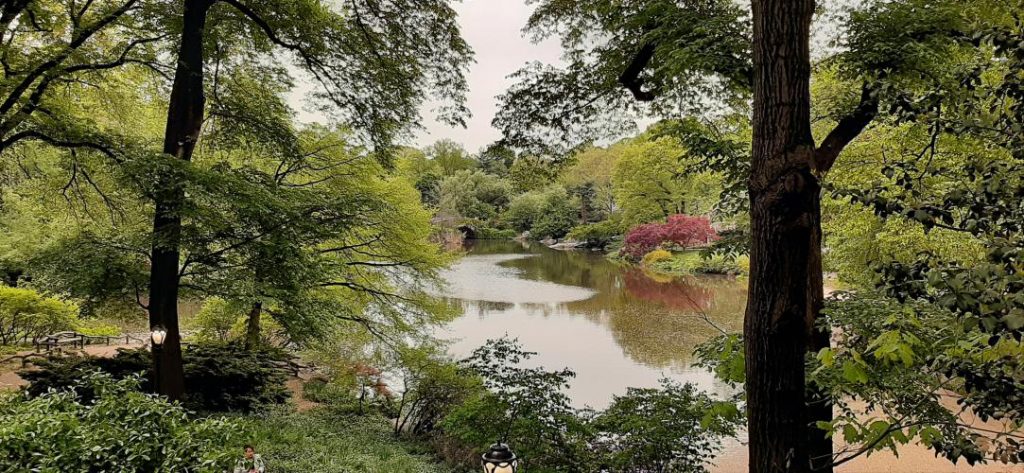 Central park