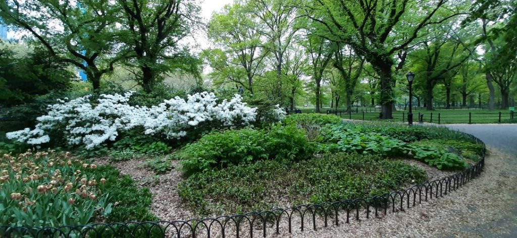 Aiuole a Central Park