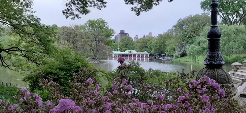 The Lake Central Park