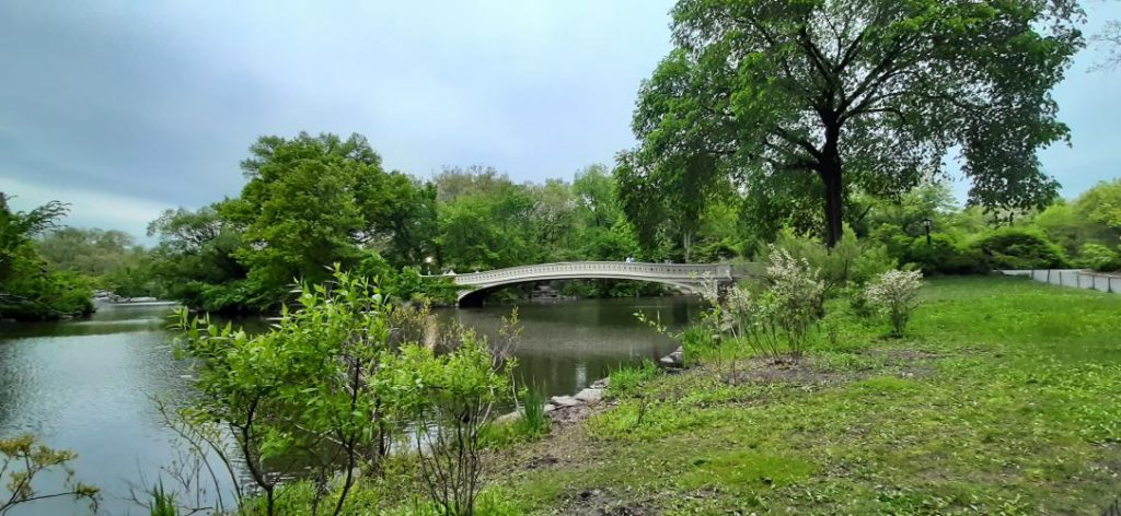 Bow Bridge Central Park
