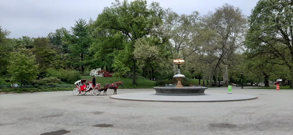 Central park carrozza