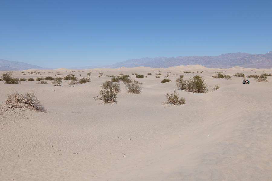 Death Valley sand dunes