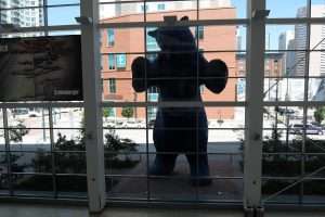 Convention Center Denver Blue Bear