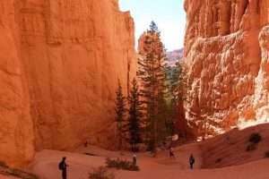 Bryce Canyon Navajo Trail