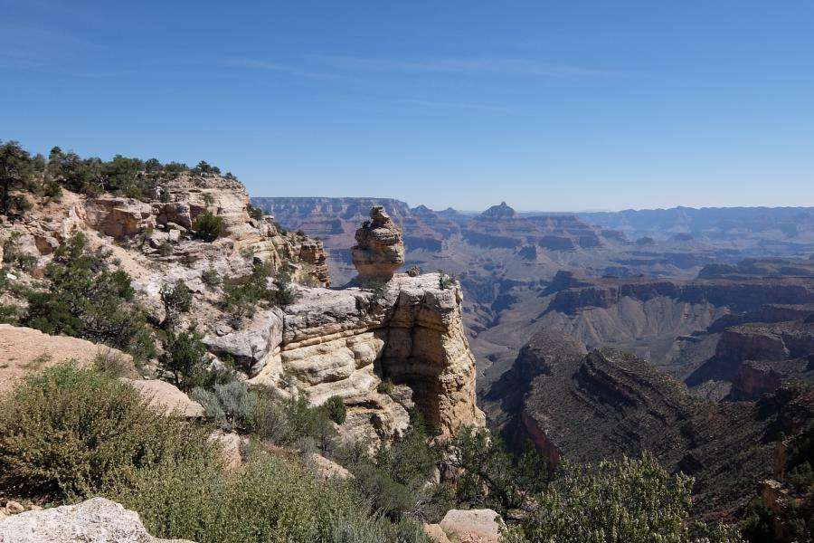 Duck on a Rock Grand Canyon