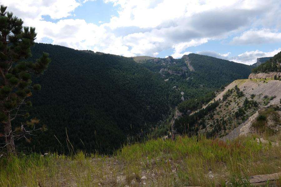 Bighorn national forest Wyoming