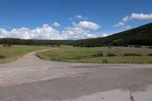 Bighorn national forest Wyoming