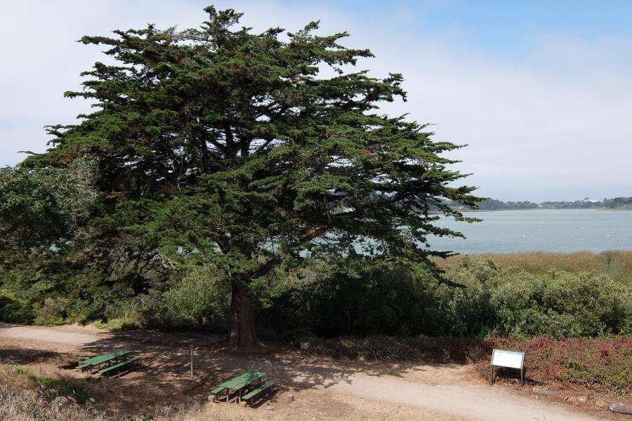 Lake Merced San Francisco