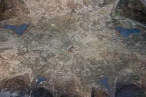 Sala delle Asse affresco di Leonardo