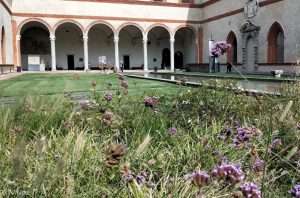 Corte ducale castello sforzesco