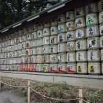 MEIJI JINGU cosa vedere Yoyogi Park Tokyo Meiji jingu cosa vedere Tokyo