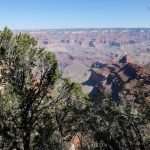 Grand Canyon Gallery